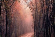 壹号娱乐:率皇马夺洲际杯 安切洛蒂成队史最成功主帅.