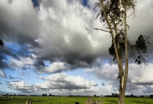 球迷吐槽意大利被偷角球:跟动画片似的,斯帕莱蒂教了个啥?.