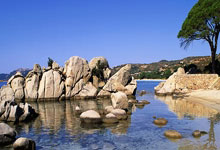 国足与澳大利亚交锋数据:4胜2平5负,上次击败澳大利亚队是12年前中新体育.